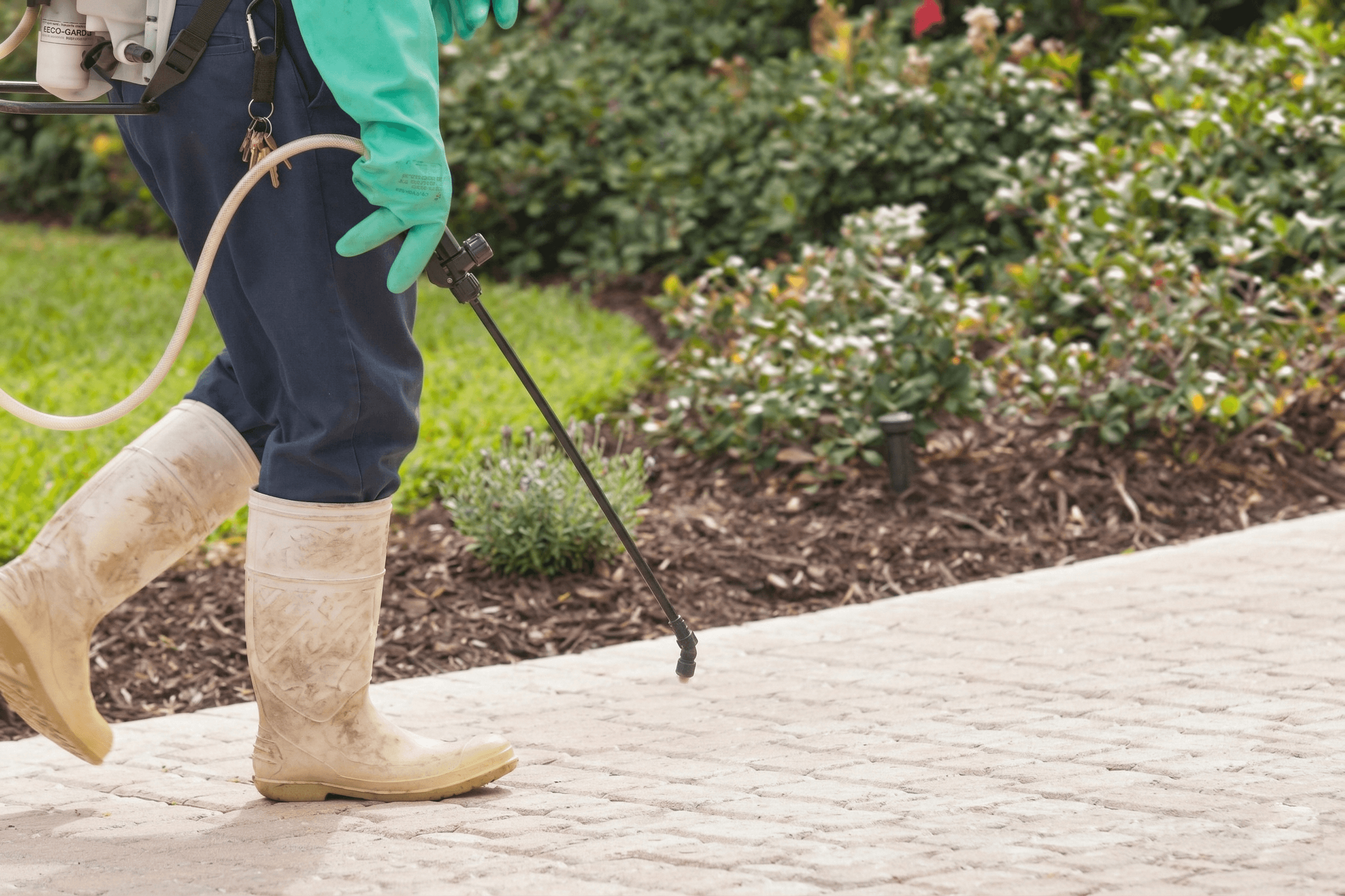 Lush Lawn Care Pros technician spraying bed weed control at a Boise property